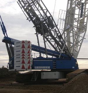 Blue and white crane