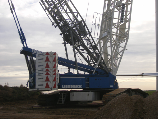 Blue and white crane